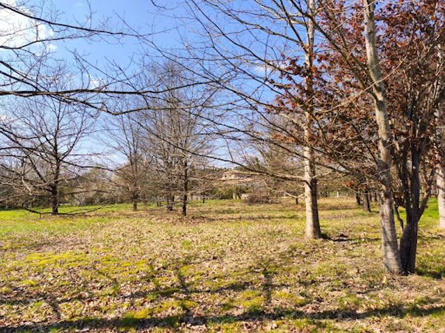 Vente Terrain 3503 m2 Nègrepelisse