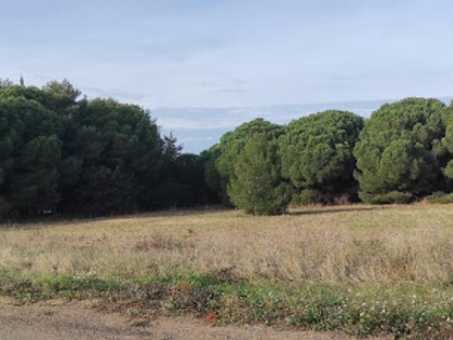 Vente Terrain 350 m2 Autignac