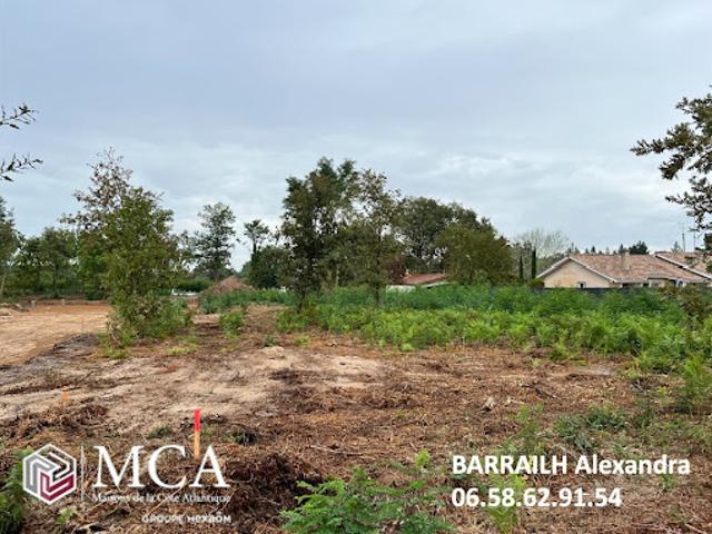 Vente Terrain 350 m2 Belin Béliet