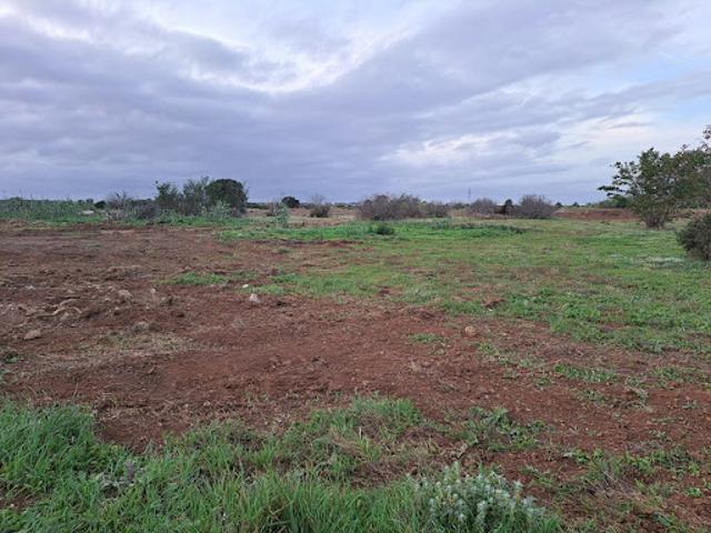 Vente Terrain 350 m2 Fos sur Mer