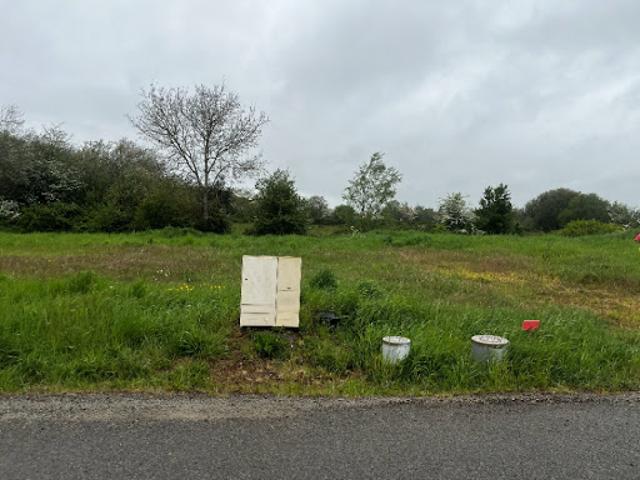 Vente Terrain 350 m2 Maché