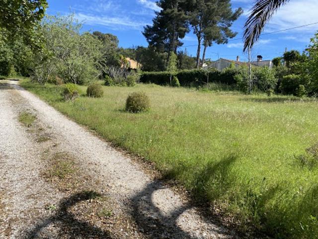 Vente Terrain 350 m2 Pignans