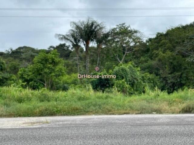 Vente Terrain 35116 m2 Matoury