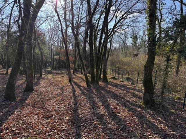 Vente Terrain 3560 m2 La Tour Blanche