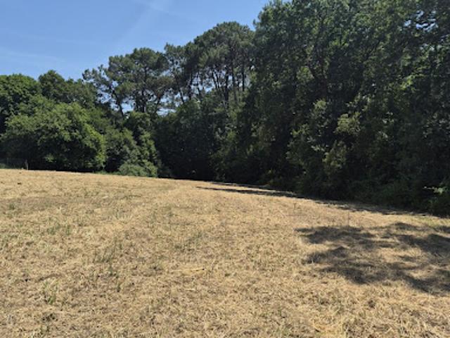 Vente Terrain 3565 m2 Boucau