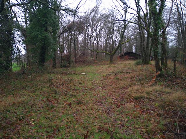 Vente Terrain 3570 m2 Rouperroux