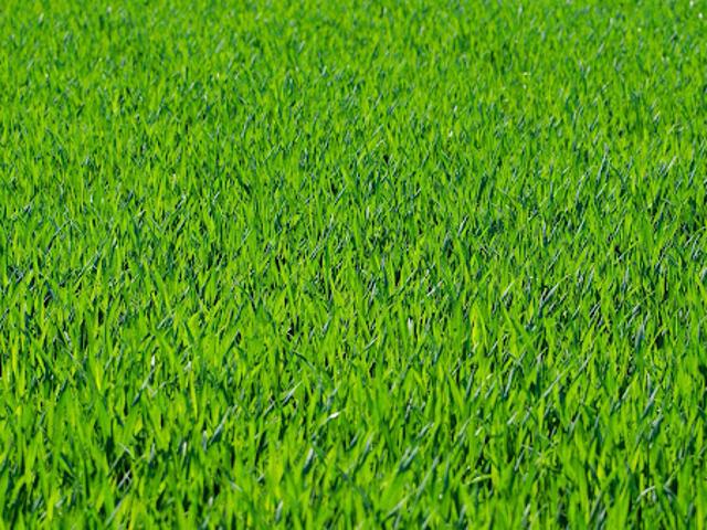 Vente Terrain 3575 m2 Bargemon