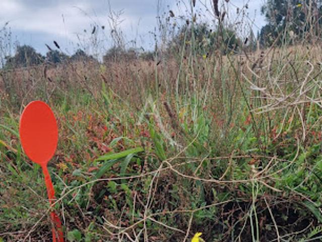Vente Terrain 358 m2 Le Fenouiller