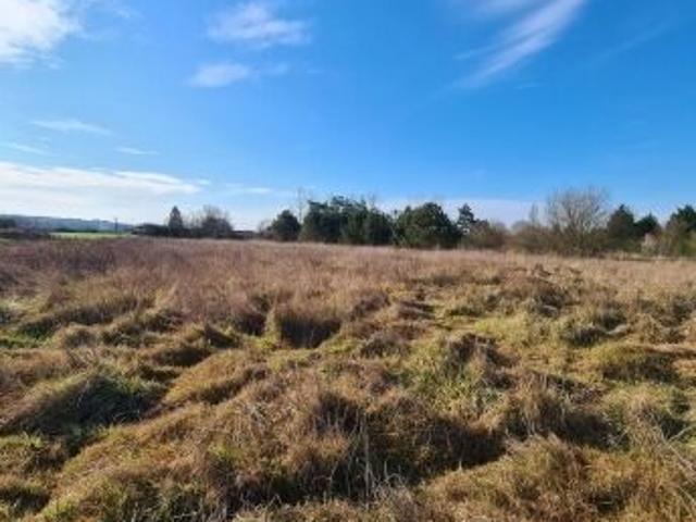 Vente Terrain 3590 m2 Cours de Pile