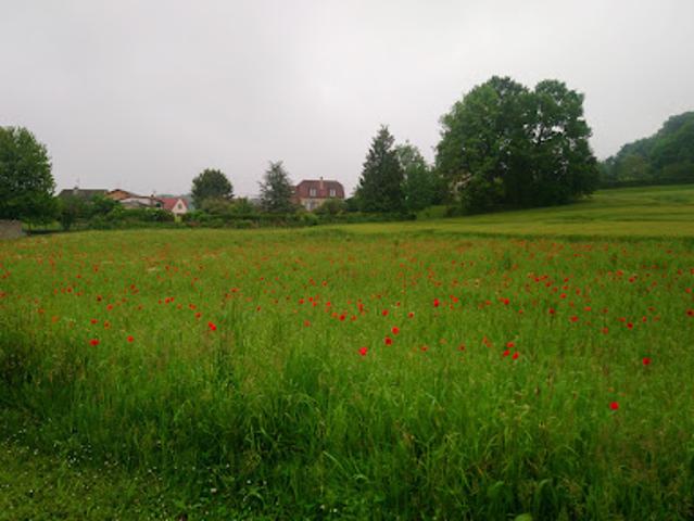Vente Terrain 0 m2 Barisis