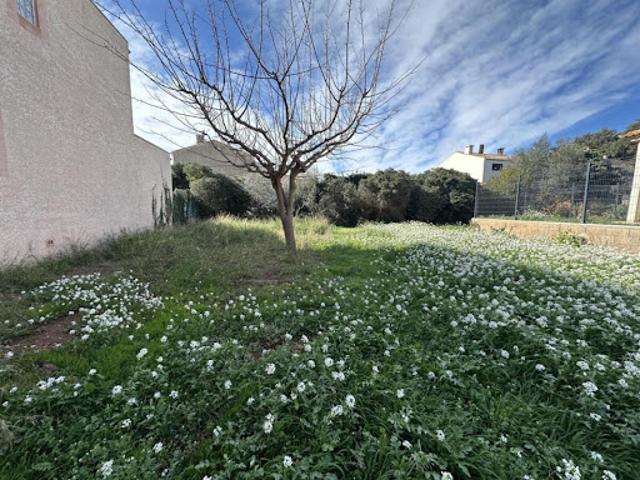 Vente Terrain 363 m2 Frontignan