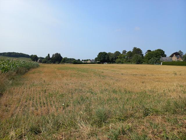 Vente Terrain 363 m2 Pleudihen sur Rance
