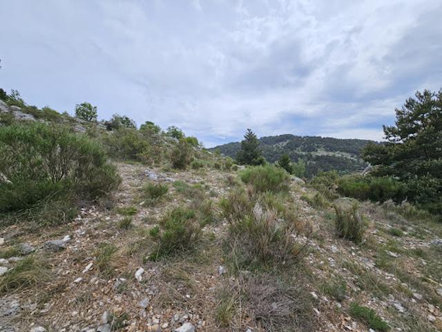 Vente Terrain 36004 m2 Saint Vallier de Thiey