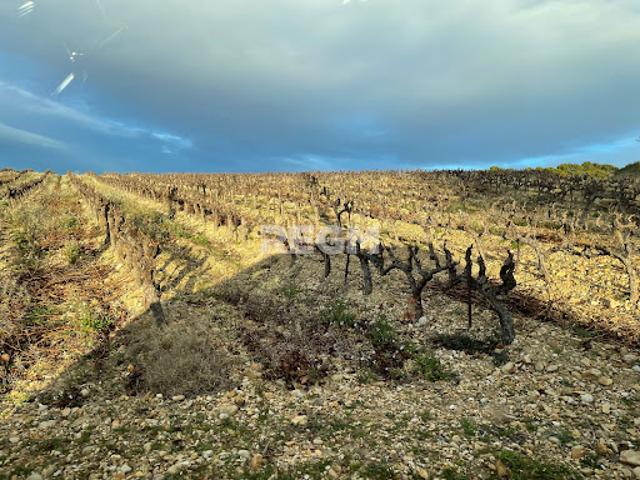 Vente Terrain 360000 m2 Visan
