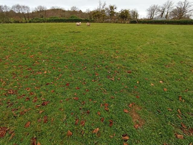 Vente Terrain 3608 m2 Le Mayet de Montagne