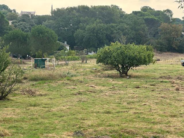 Vente Terrain 360 m2 Frejus