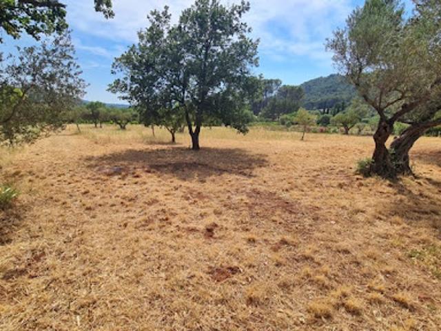 Vente Terrain 3625 m2 Cuers