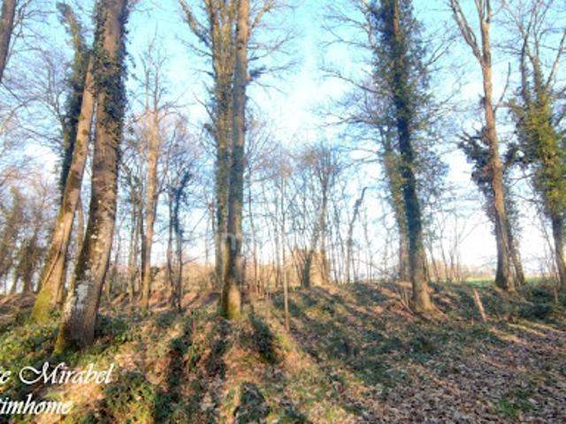 Vente Terrain 3640 m2 Sylvains les Moulins