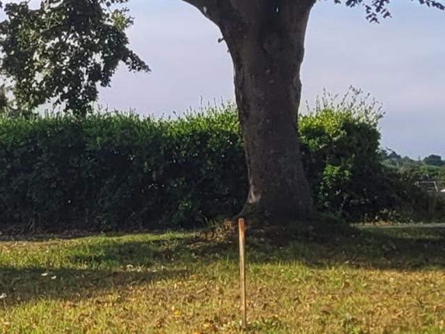 Vente Terrain 365 m2 Châtelaudren Plouagat