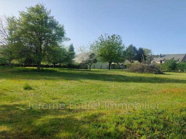 vente terrain