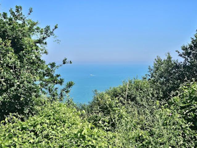 Vente Terrain 3660 m2 Commes