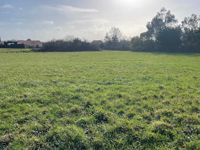 Vente Terrain 368 m2 Villeneuve en Retz