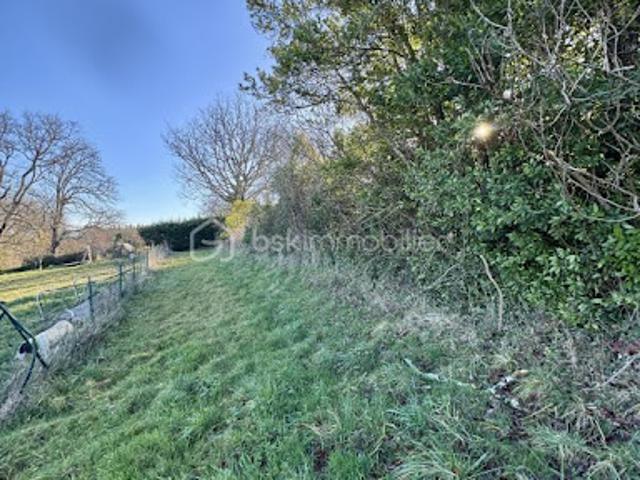 Vente Terrain 3697 m2 Castillon Massas