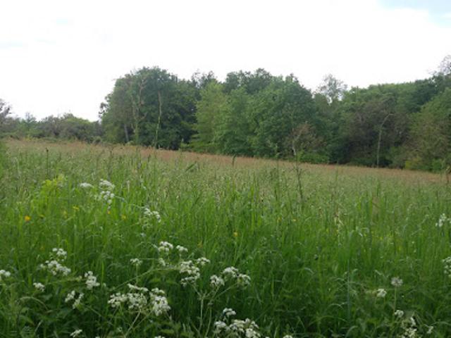 Vente Terrain 3700 m2 Saint Jean d'Ataux