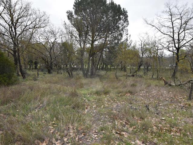 Vente Terrain 3719 m2 Maraussan