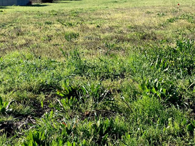 Vente Terrain 371 m2 Saint Dizant du Gua