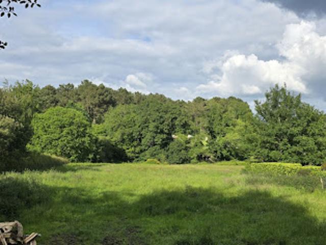 Vente Terrain 3744 m2 Allaire