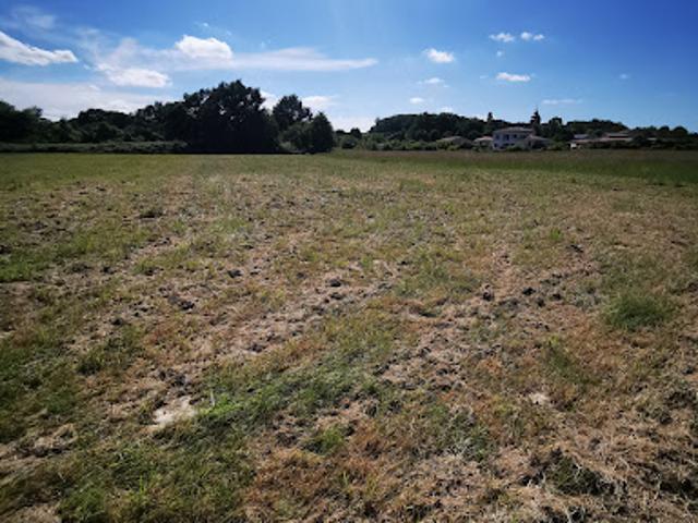 Vente Terrain 3744 m2 Ladevèze Rivière
