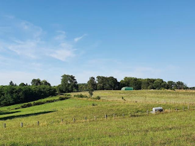 Vente Terrain 3770 m2 Palazinges