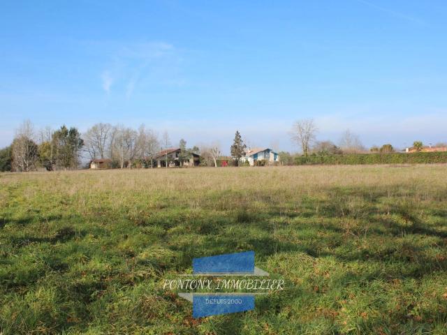 vente terrain