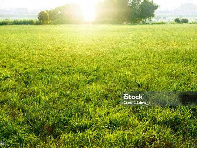 Vente Terrain 383 m2 Saint Priest
