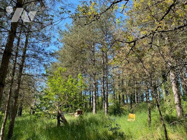 Vente Terrain 3800 m2 Montigny sur Vesle
