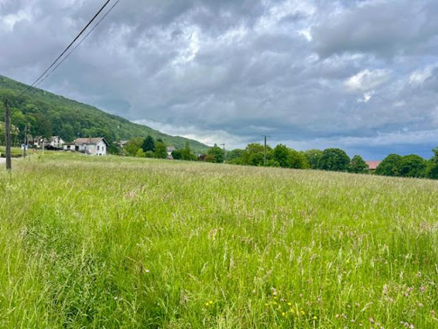 Vente Terrain 380 m2 Corbonod