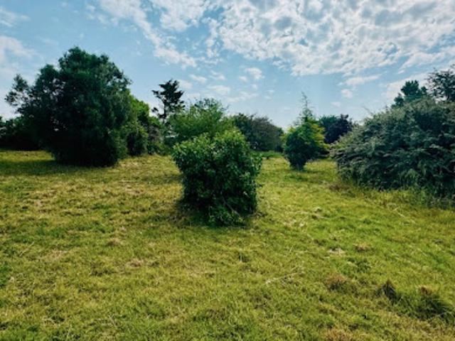 Vente Terrain 3837 m2 Port des Barques