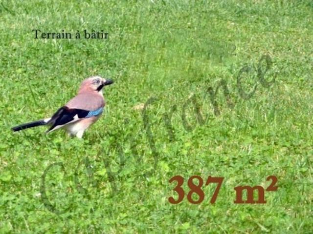 Vente Terrain 387 m2 Bétheniville