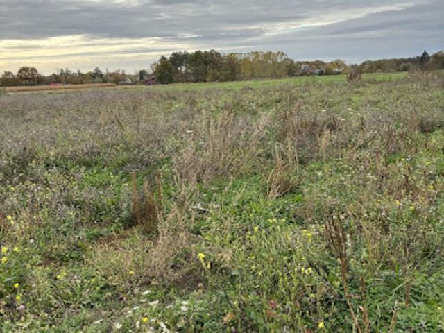 Vente Terrain 384 m2 Le Louroux Béconnais