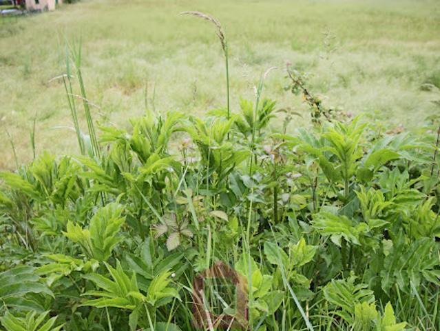 Vente Terrain 3850 m2 Duravel