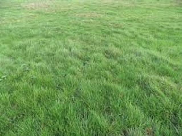 Vente Terrain 385 m2 La Chapelle Gauthier