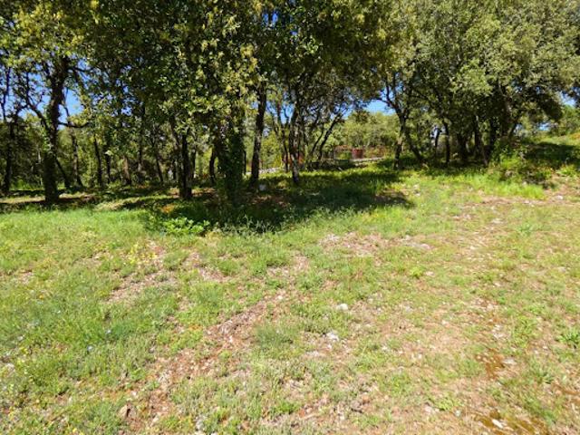 Vente Terrain 3867 m2 Uzès