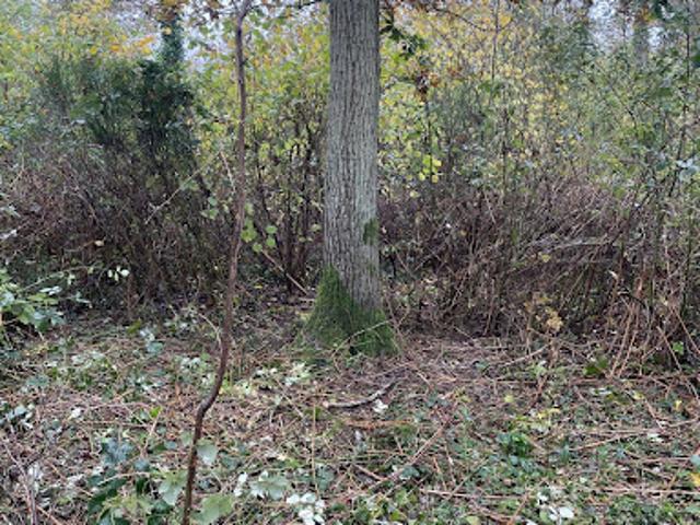 Vente Terrain 3878 m2 Fontenay sur Loing