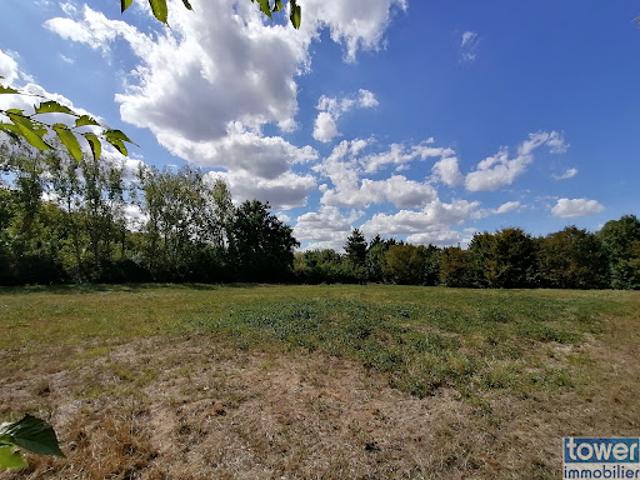 Vente Terrain 3879 m2 Montech