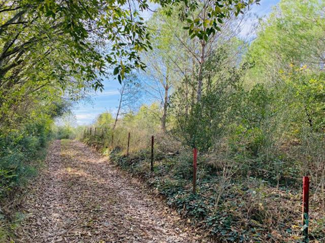 Vente Terrain 3880 m2 Trouillas