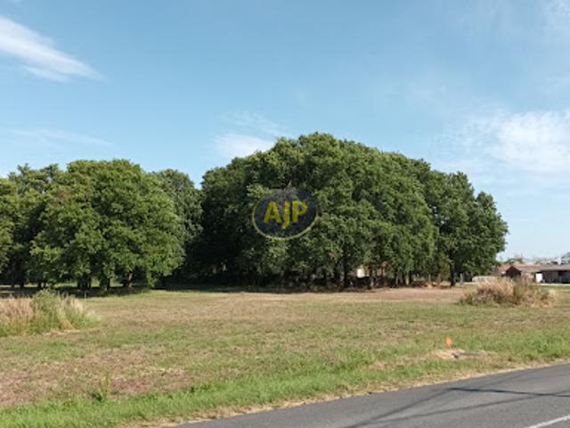 Vente Terrain 3887 m2 Soulac sur Mer
