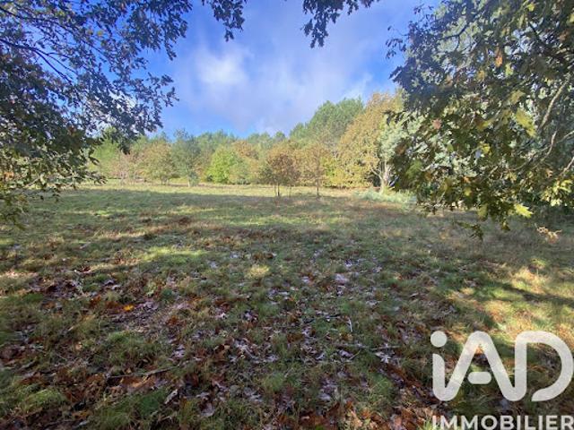 Vente Terrain 3893 m2 Mézos