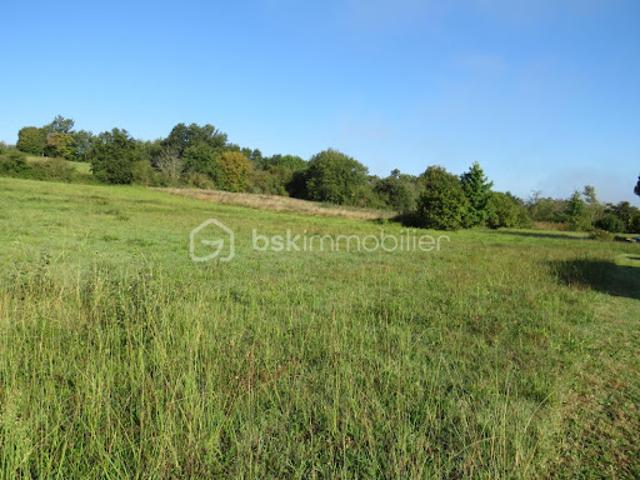 Vente Terrain 3895 m2 Baliracq Maumusson