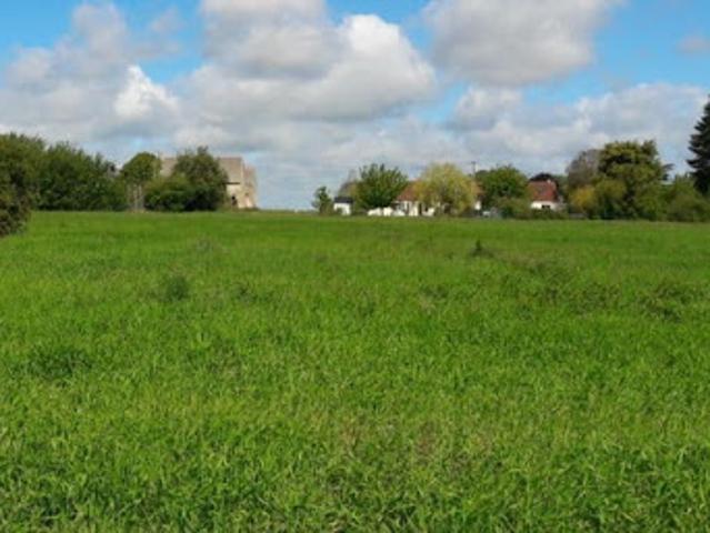 Vente Terrain 3900 m2 Cormost